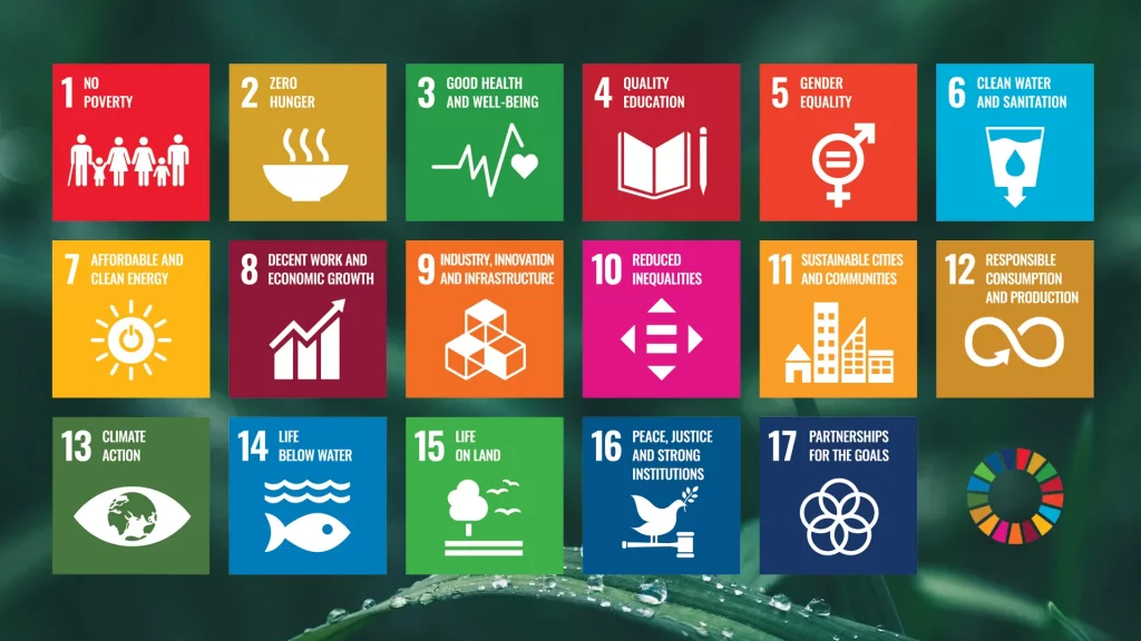 Masternode's Sustainable Development Goals